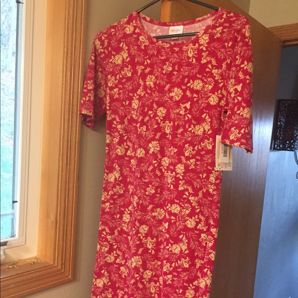 BRAND NEW, NEVER WORN, Lularoe Julia dress
